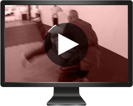 watch aikido demonstration videos